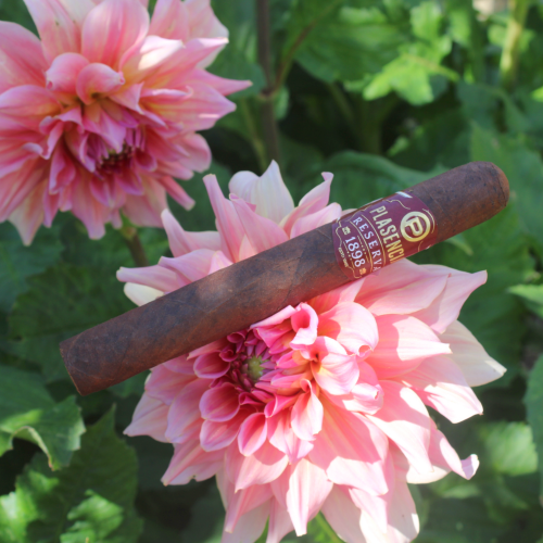 Plasencia Reserva 1898 Corona Cigar - 1 Single (End of Line)